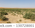Arid desert landscape with cracked earth and shrubs in Faryab Province of Afghanistan 130728001