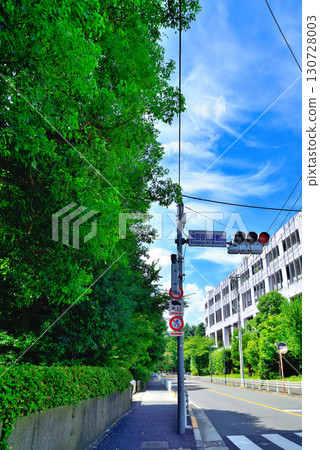 Setagaya Art Museum in Kinuta Park 130728003