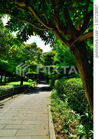 Setagaya Art Museum in Kinuta Park 130728007