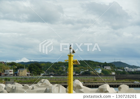 Bird resting on yellow breakwater light 130728201
