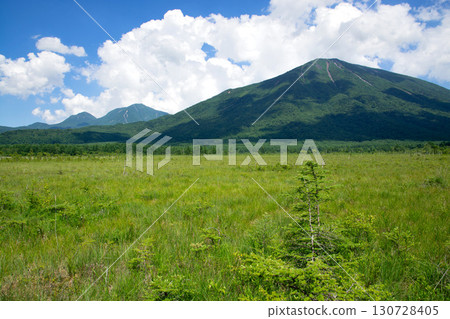 夏天的千疊原和南台山 130728405