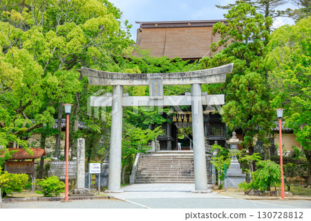 初夏的香椎宮神社，福岡縣東區 130728812