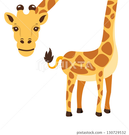 Cartoon Illustration of a Giraffe head Cartoon Illustration of a Giraffe head 130729532