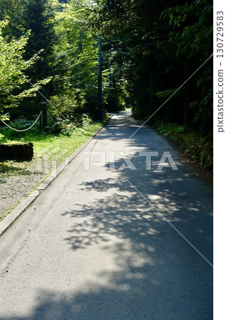 Path through the forest, Karuizawa, near the waterwheel road Path through the forest, Karuizawa, near the waterwheel road 130729583