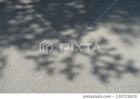 The shadows of the leaves on the ground and the beautiful sunlight filtering through the trees 130729929