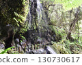 Mitsuru Falls 130730617