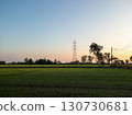 High Voltage Tower Amid Rural Rice Paddies at Sunset. 130730681