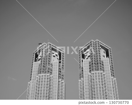 仰望東京都政府大樓的建築之美和廣闊的天際線。 130730770