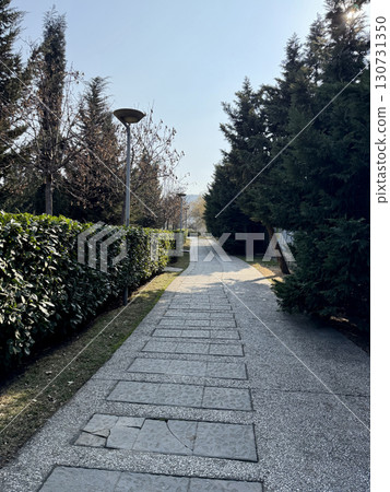 Sunlit stone pathway leads through landscaped garden with evergreen trees and blue sky in background, peaceful outdoor nature, walking, and scenic park landscape concept Sunlit stone pathway leads through landscaped garden with evergreen trees and blue sky in background, peaceful outdoor nature, walking, and scenic park landscape concept 130731350