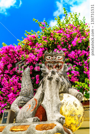 Seasa and Bougainvillea Seasa and Bougainvillea 130731531