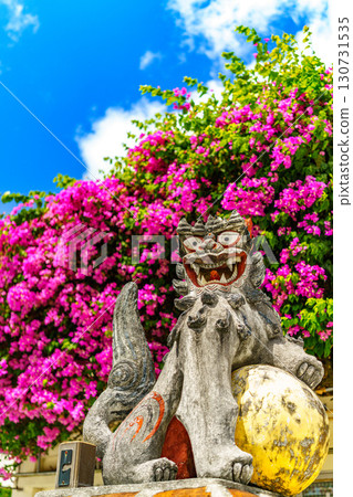 Seasa和九重葛 130731535