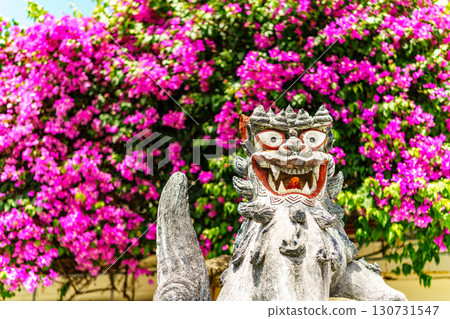 Seasa和九重葛 Seasa和九重葛 130731547