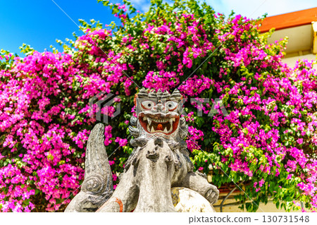 Seasa and Bougainvillea Seasa and Bougainvillea 130731548