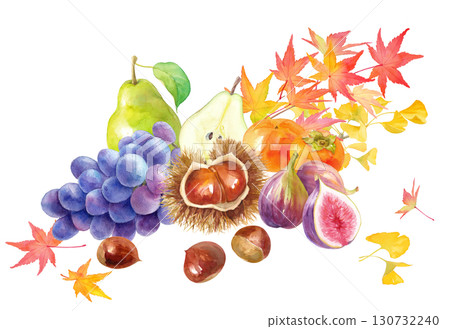 以秋葉為背景的秋冬水果合輯。栗子、柿子、無花果、梨子和葡萄的水彩插圖。 130732240