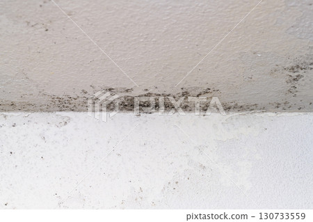 Macro shooting of mold and fungus on bathroom wall 130733559