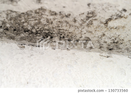 Macro shooting of mold and fungus on bathroom wall Macro shooting of mold and fungus on bathroom wall 130733560