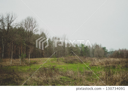 A field with trees and grass in the background 130734091