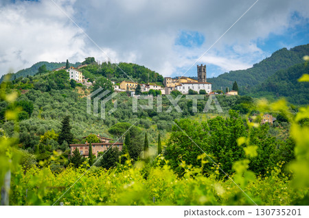 Scenic landscape of northern Tuscany, Italy, featuring vineyards, olive groves, and traditional countryside houses with hills and green mountains in the background. 130735201