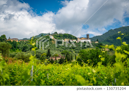 Scenic landscape of northern Tuscany, Italy, featuring vineyards, olive groves, and traditional countryside houses with hills and green mountains in the background. 130735204
