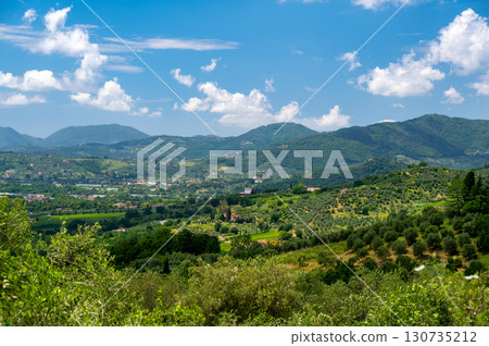 Scenic landscape of northern Tuscany, Italy, featuring vineyards, olive groves, and traditional countryside houses with hills and green mountains in the background. 130735212