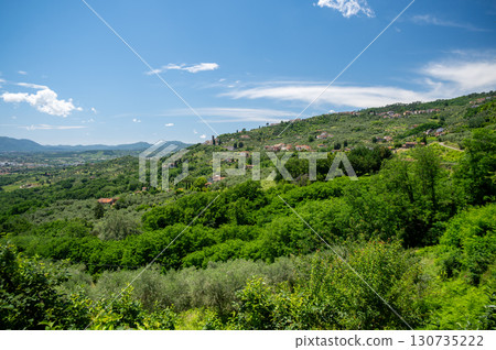 Scenic landscape of northern Tuscany, Italy, featuring vineyards, olive groves, and traditional countryside houses with hills and green mountains in the background. 130735222