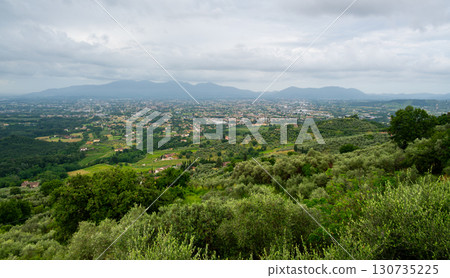 Scenic landscape of northern Tuscany, Italy, featuring vineyards, olive groves, and traditional countryside houses with hills and green mountains in the background. 130735225