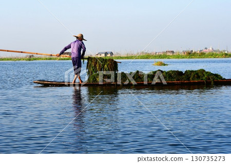 Myanmar, Inle Lake, algae harvesting, small boat Myanmar, Inle Lake, algae harvesting, small boat 130735273