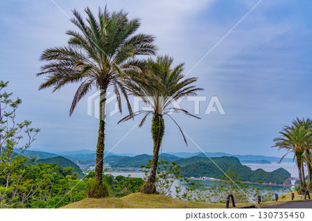 [宮崎縣日南市]從藍花楹林（實用植物園）眺望外浦海 130735450