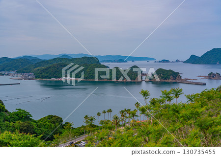 [宮崎縣日南市]從藍花楹林（實用植物園）眺望外浦海 130735455