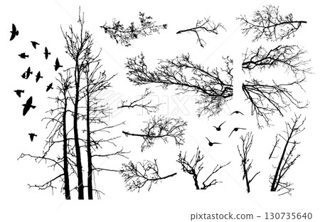 Naked trees silhouettes set. Hand drawn isolated illustrations. Not AI, Vector illustration 130735640