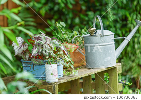 A natural garden with a potted plant and an antique watering can, and a gardening scene filled with greenery A natural garden with a potted plant and an antique watering can, and a gardening scene filled with greenery 130736365