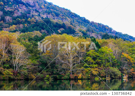 Autumn foliage scenery at Lake Yunoko in Oku-Nikko Autumn foliage scenery at Lake Yunoko in Oku-Nikko 130736842