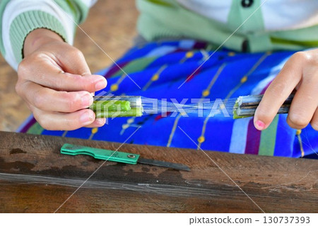 Myanmar, Inle Lake, weaving workshop, lotus thread, thread extraction 130737393