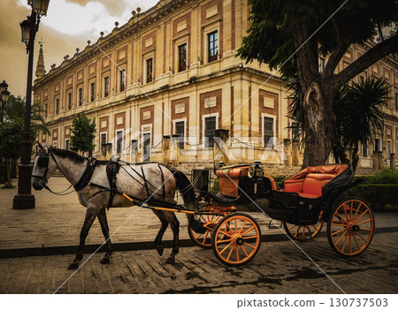 Spanish carriage town Spanish carriage town 130737503