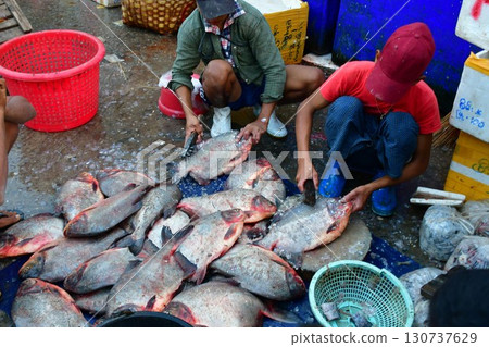 Myanmar, Mandalay, fish market, fish filleters 130737629