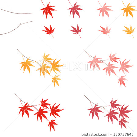 Japanese style autumn leaves material Japanese style autumn leaves material 130737645