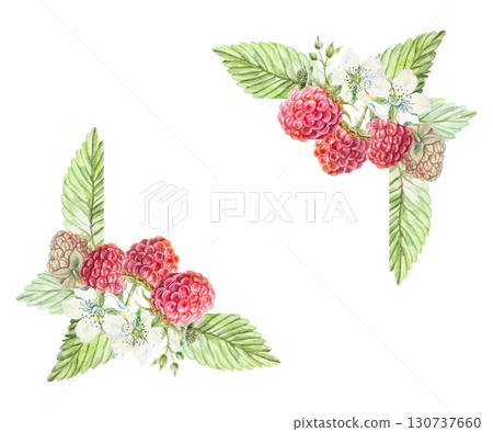 Raspberry frame watercolor. Hand drawn illustration of beautiful ripe berries, white flowers and green lush leaves isolated. For jam, marmalade and drinks label design. 130737660