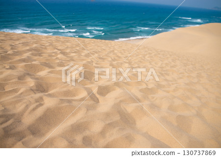 鳥取縣鳥取市鳥取沙丘 鳥取縣鳥取市鳥取沙丘 130737869