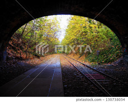 廢棄的鐵路線、隧道和遠處的秋日景色 130738034