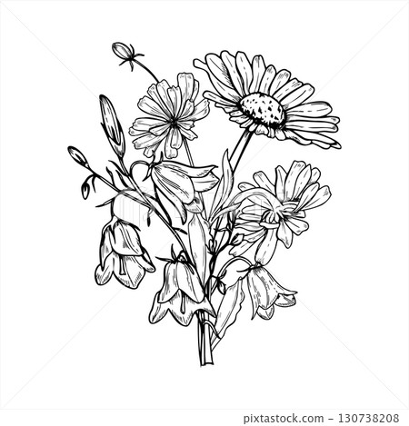 Monochrome wild blooming flower bouquet vector isolated illustration painted by black inks. Hand drawn Chamomile, Cichorium and campanula flowers etching drawing. For wedding invitation, greeting card Monochrome wild blooming flower bouquet vector isolated illustration painted by black inks. Hand drawn Chamomile, Cichorium and campanula flowers etching drawing. For wedding invitation, greeting card 130738208