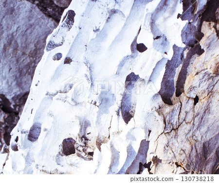 texture of drifted wood on the rocks, beautiful nature wallpaper 130738218
