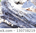 texture of drifted wood on the rocks, beautiful nature wallpaper 130738219