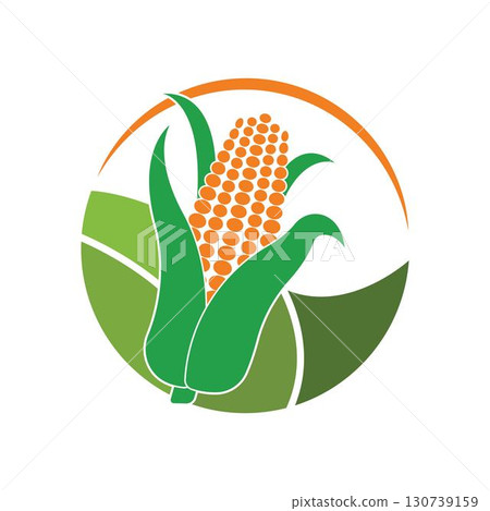 Corn logo illustration vector flat design Corn logo illustration vector flat design 130739159