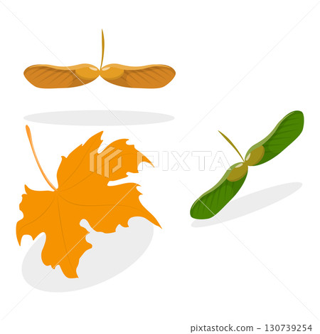 3D Isometric Flat Vector Illustration of Canada Collection, Traditional Cultural Attributes. Item 4 130739254