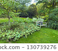 Enlgish green garden with multpiple type of trees and plants 130739276