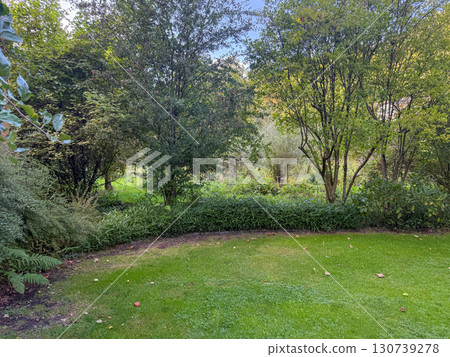 Enlgish green garden with multpiple type of trees and plants 130739278
