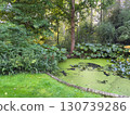 Enlgish green garden with water pound and multpiple type of trees and plants 130739286