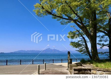 豬苗代湖、磐梯山、江戶幕府邊境大杉樹的遺跡（福島縣郡山市湖南町） 130739361