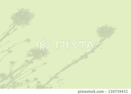 Natural light casts shadows from the field grass on a green sheet of paper. Mockup 130739431