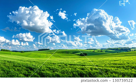 Environmental landscape of green earth with blue sky and white clouds 130739522